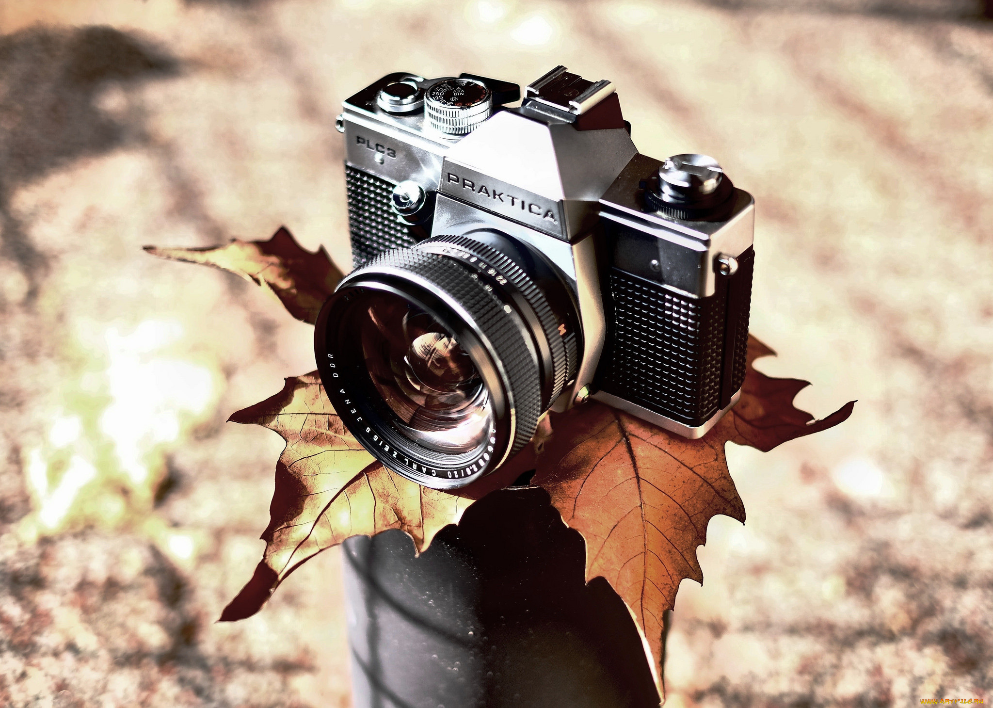 Как фотографировать детей: советы и трюки 1 Как фотографировать детей: советы и трюки - Фотоблог